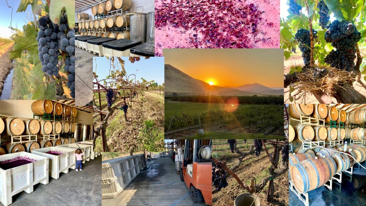 Bed and Breakfast Sequoia View Vineyard Sanger Exterior foto
