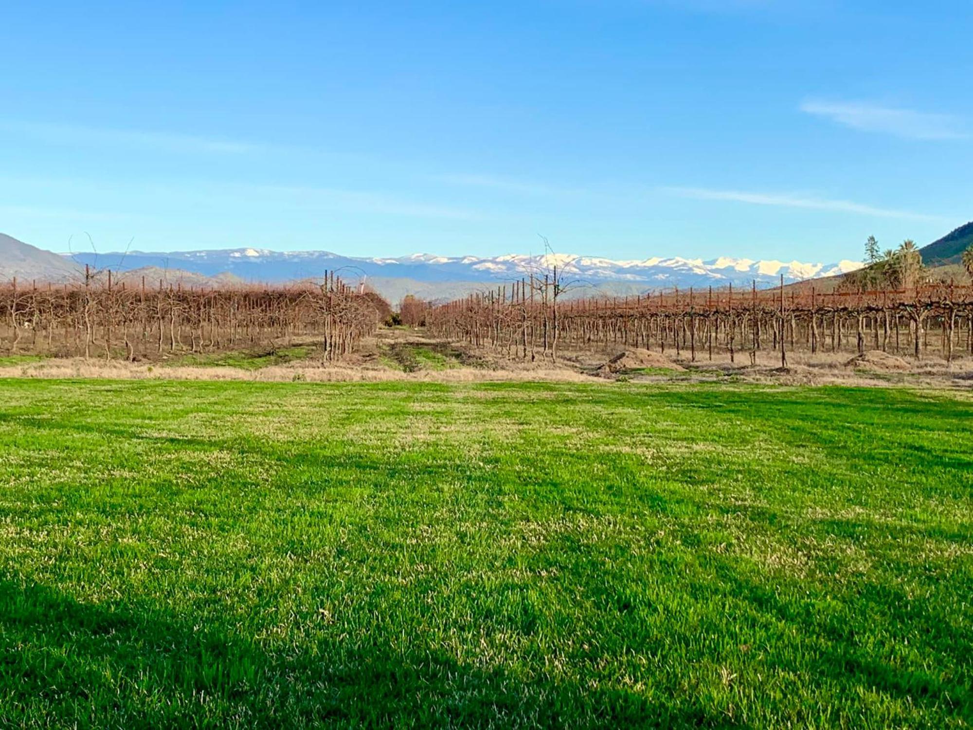 Bed and Breakfast Sequoia View Vineyard Sanger Exterior foto